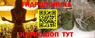 гидра Мариинск
